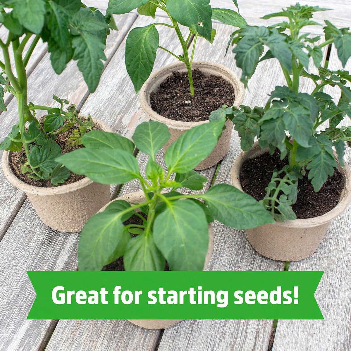 Stop Killing Your Plants With Bad Soil.